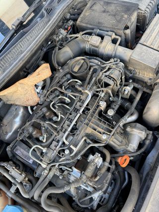 Despiece Volkswagen Golf VI 1.6 TDI Año 2010