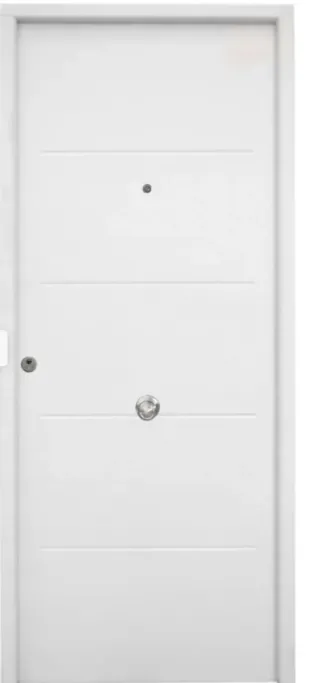 ✴️Puerta Seguridad Principal Metálica - Nueva