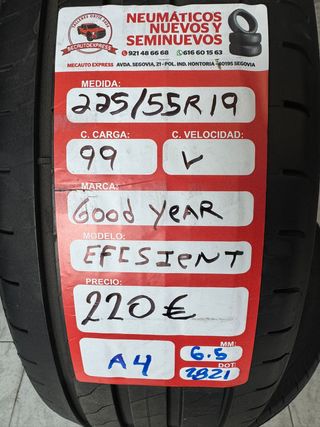 Neumático Goodyear Efficient 225/55R19 99V