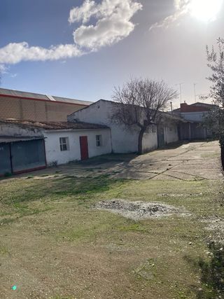 Venta 2 viviendas independientes con gran parcela