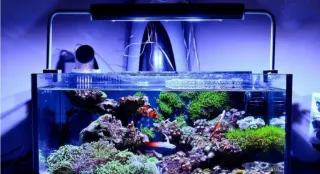 Instalacion y mantenimiento de acuarios