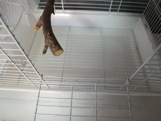 Jaula para pájaros blanca