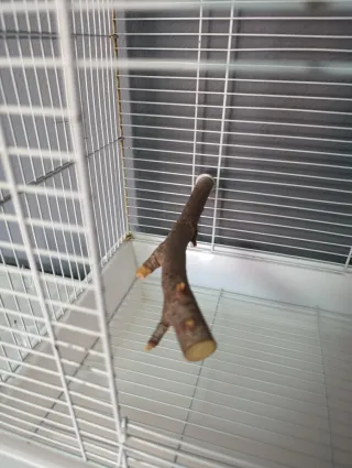 Jaula para pájaros blanca