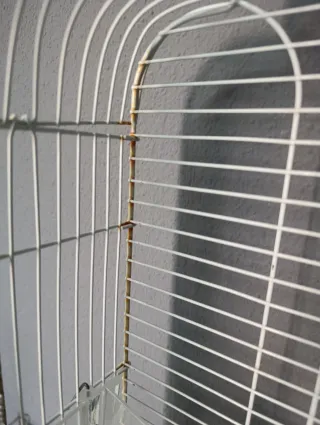 Jaula para pájaros blanca