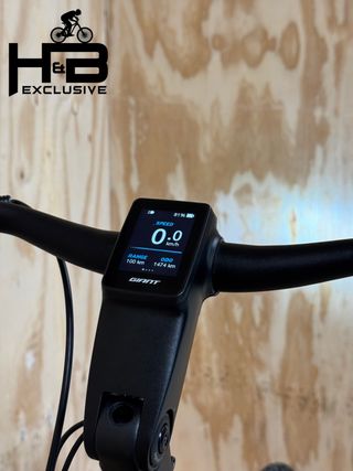 Giant Dailytour E+ 2 LDS Shimano Nexus 2021