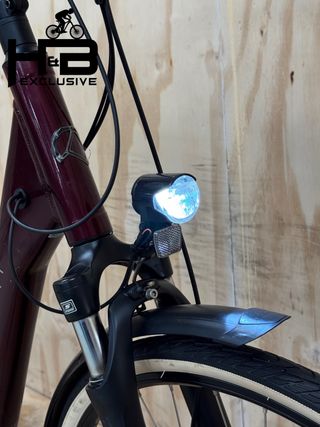 Kalkhoff Endeavour 1.B Move Shimano Altus 2020