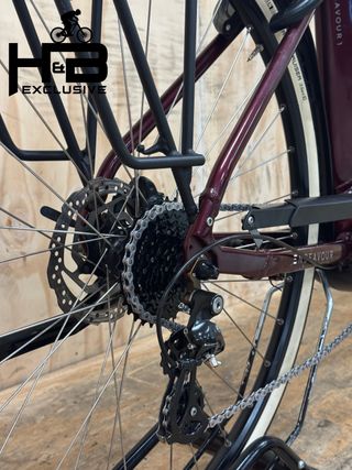 Kalkhoff Endeavour 1.B Move Shimano Altus 2020