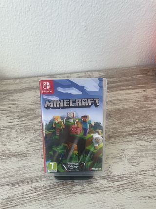 Minecraft Nintendo Switch