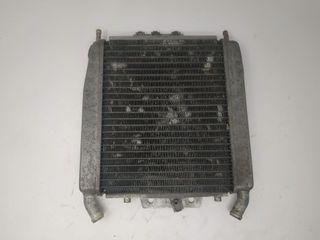 Radiador De Agua Piaggio X7 125 250 300, X8 125 25