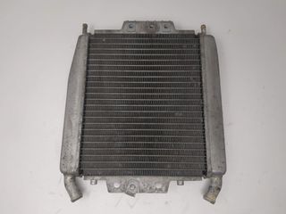 Radiador De Agua Piaggio X7 125 250 300, X8 125 25