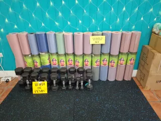 Coppia di manubri da 4 kg viola