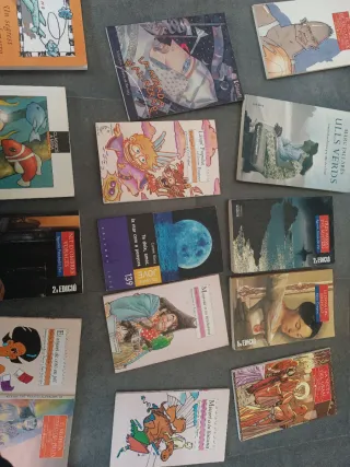 Llibres lectura valencià