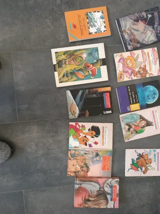 Llibres lectura valencià