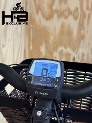 Riese & Müller Swing Automatic Enviolo 2023