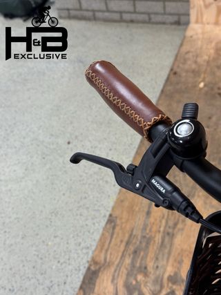 Riese & Müller Swing Automatic Enviolo 2023