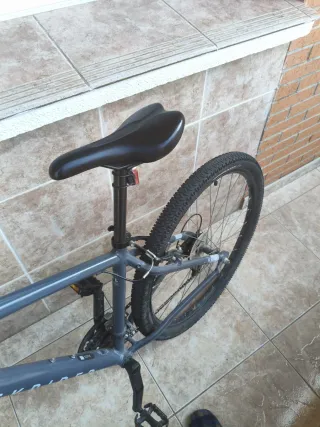 Bicicleta de Montaña Gris