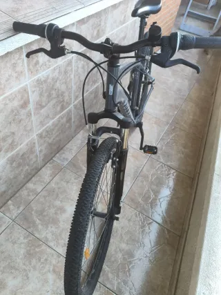Bicicleta de Montaña Gris