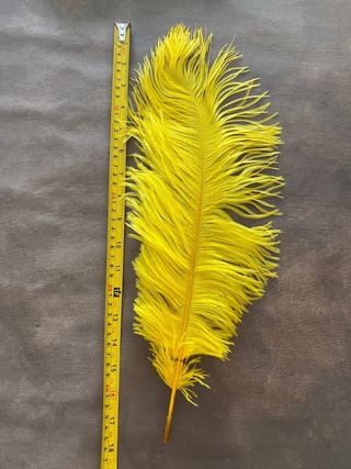 5 Plumas de Avestruz Amarillas