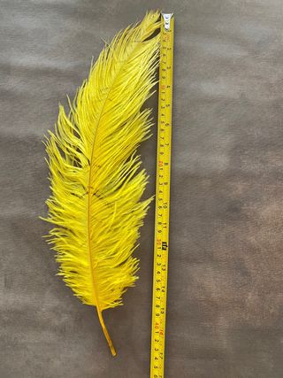 5 Plumas de Avestruz Amarillas