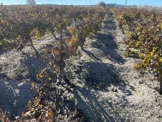 Terreno en venta en Centro-Calzada-Cabo Noval en Sanlúcar de Barrameda