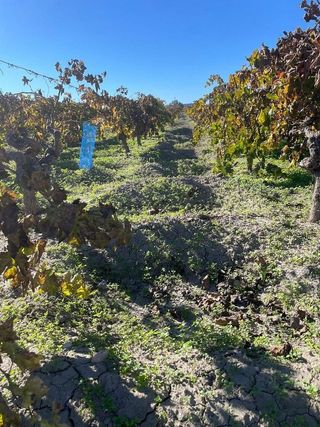 Terreno en venta en Centro-Calzada-Cabo Noval en Sanlúcar de Barrameda