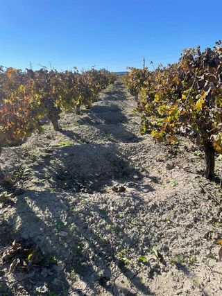 Terreno en venta en Centro-Calzada-Cabo Noval en Sanlúcar de Barrameda