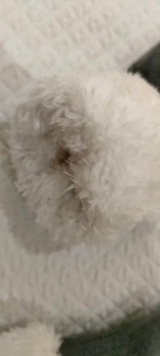 Guanti invernali con fiocco di neve