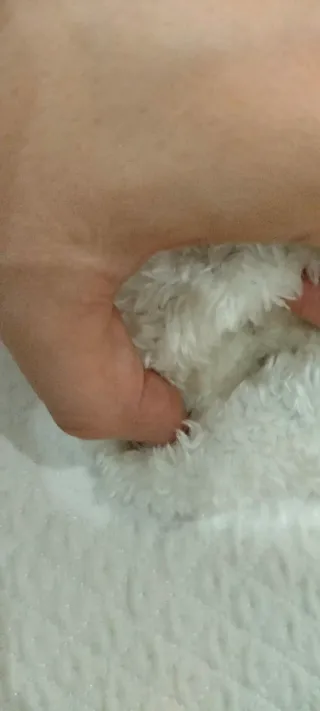 Guanti invernali con fiocco di neve