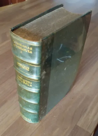 Panorama de la Literatura Española Contemporánea