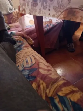 Jaulas para pájaros multicolor