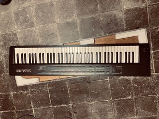 Roland A-33 Teclado Maestro MIDI + Flightcase