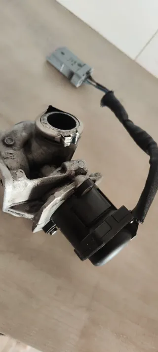 Válvula EGR para Motor 1.6