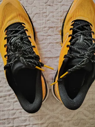 Zapatillas Trail Evadict - Talla 43