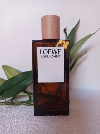 Loewe Pour Homme Eau de Toilette 100ml