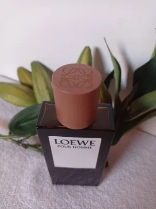 Loewe Pour Homme Eau de Toilette 100ml