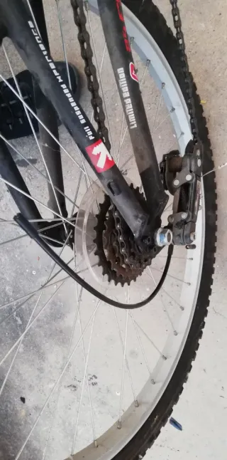 Bicicleta 24 pollici