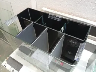 Acuario Bettera 40x23x25 cm