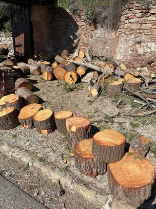 Leña para chimenea o barbacoa