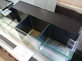 Acuario Betta 50x23x19 cm