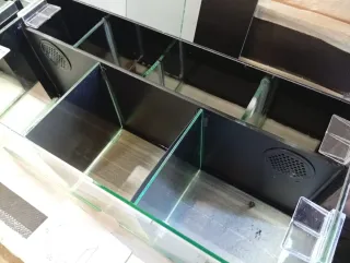 Acuario Betta 50x23x19 cm