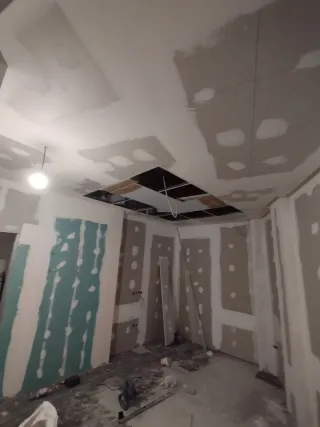 Pladurista profesional en Madrid – Techos, tabique