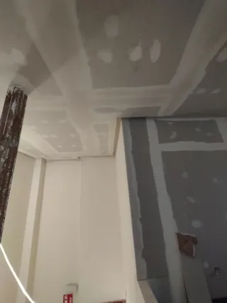 Pladurista profesional en Madrid – Techos, tabique