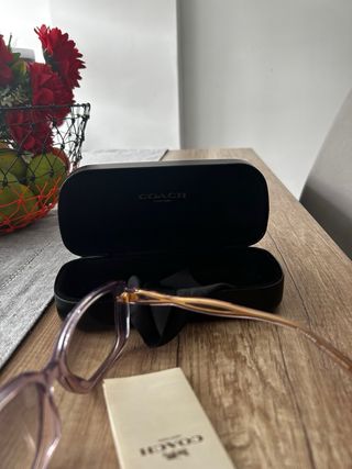 Gafas Coach Rosa Unisex