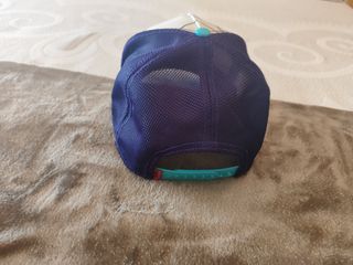 Gorra Goorin Bros T-Rex