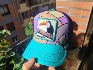 Gorra Goorin Bros T-Rex