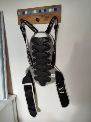 Espaldera protectora moto