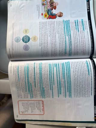 Desarrollo socioafectivo