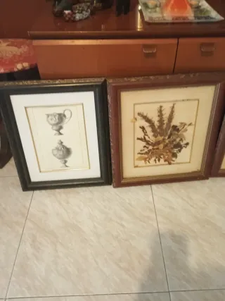 2 Cuadros Decorativos plantas naturales