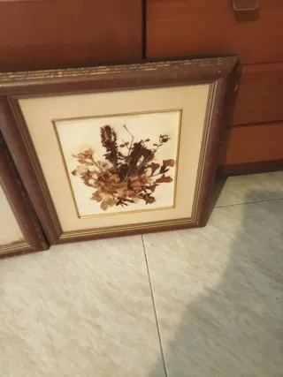 2 Cuadros Decorativos plantas naturales