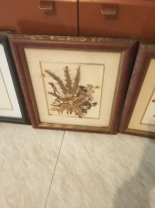 2 Cuadros Decorativos plantas naturales